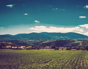 在线短信呼死你